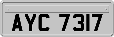 AYC7317