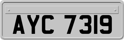 AYC7319