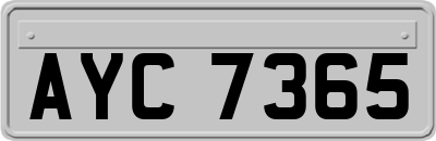 AYC7365