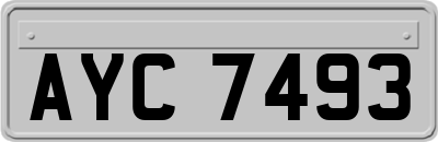 AYC7493