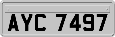 AYC7497