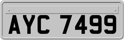 AYC7499