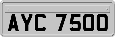 AYC7500