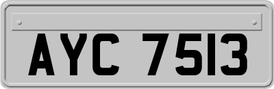 AYC7513