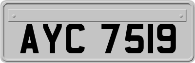AYC7519