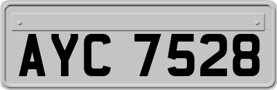 AYC7528