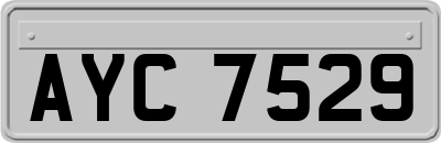 AYC7529