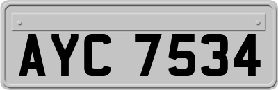 AYC7534