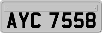 AYC7558
