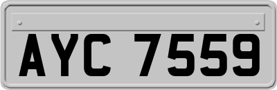AYC7559