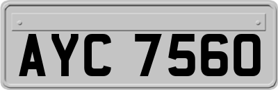 AYC7560