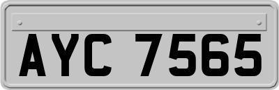 AYC7565