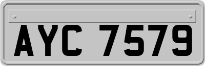 AYC7579