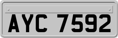 AYC7592