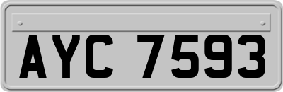AYC7593