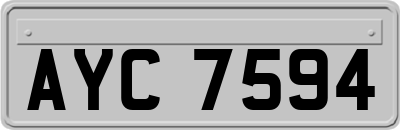 AYC7594