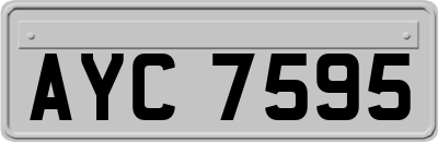 AYC7595
