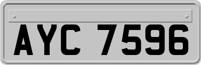 AYC7596
