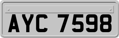 AYC7598