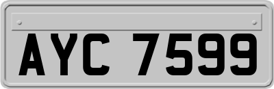 AYC7599