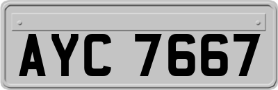 AYC7667