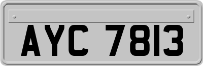 AYC7813