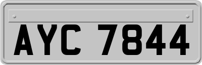 AYC7844
