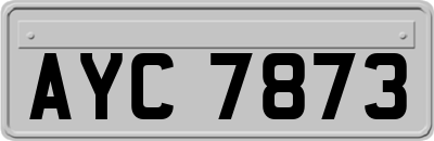 AYC7873