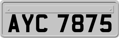 AYC7875