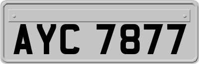 AYC7877