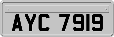 AYC7919