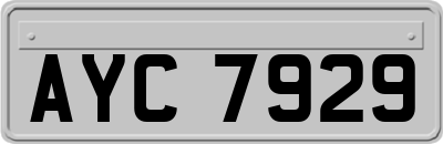 AYC7929