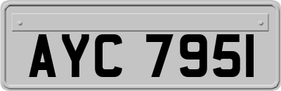 AYC7951