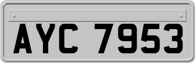 AYC7953