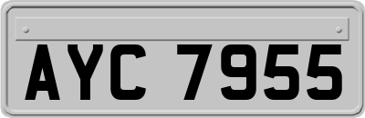 AYC7955