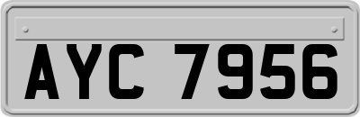 AYC7956