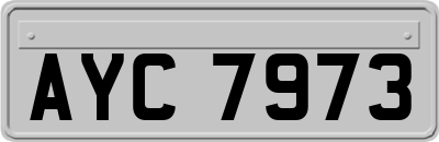 AYC7973