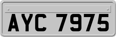AYC7975