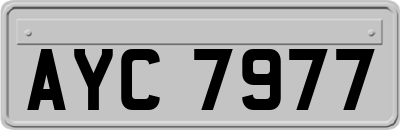 AYC7977