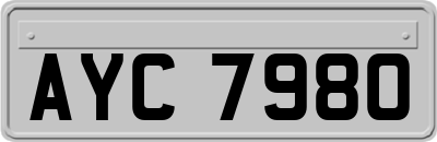 AYC7980