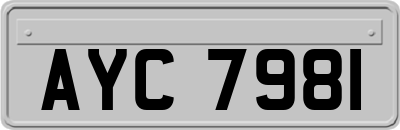 AYC7981
