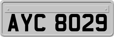 AYC8029