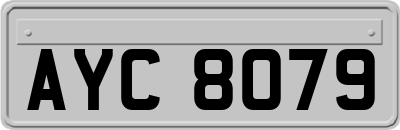 AYC8079