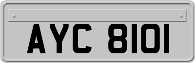 AYC8101