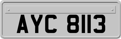 AYC8113