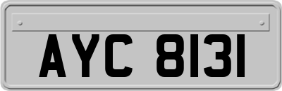 AYC8131