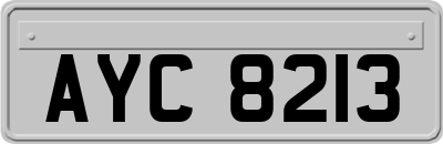 AYC8213
