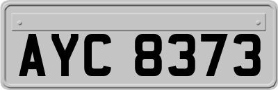 AYC8373