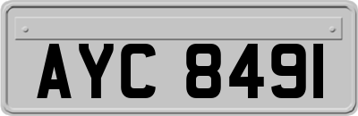 AYC8491