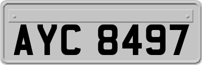 AYC8497